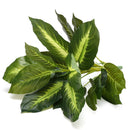 Artificial Plant Evergreen Flower Garden Wedding Party DIY Pot Home Office Decorations