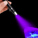 XANES 1913 AAA Flashlight Multifunction Violet Light Fluorescence Detection Pen Camping Hunting Portable Torch Light