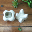 7x10cm Tooth Shape Flower Pot Succulent Plant Storage Ceramic Gardening Potted Creative Home Decor