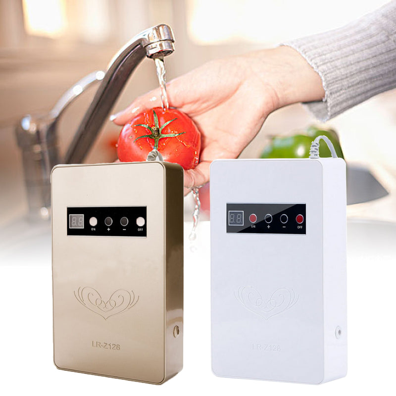 15W 50Hz Multi-function Ozone O3 Air Purifier Water Food Sterilizer Disinfector