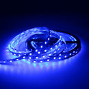 5M 60W SMD5050 RGB Waterproof Non-waterproof 300LEDs Strip Light DC24V