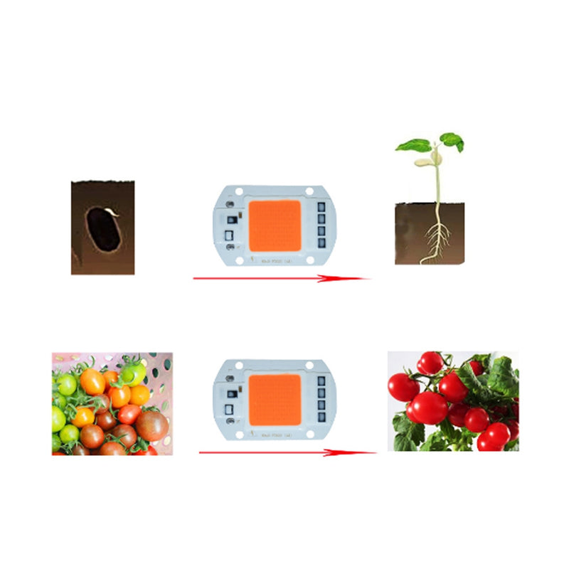 High Power 20W 30W 50W Full-spectrum COB LED Grow Light Chip with Lens for Floodlight AC110V/220V