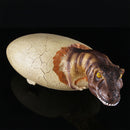 Large 15in Resin Dinosaur Egg Model Skeleton Fossils Incubated Animal Simulation