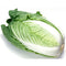 100Pcs Chinese Delicious Cabbage Seeds Nutritious Green Vegetable Seeds Brassica Plants Garden