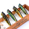 ZANLURE 4pcs/set 9.5cm 12g Fishing Lure Topwater Popper Wobblers Crankbaits Artificial Hard Baits