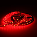 5M 60W SMD5050 RGB Waterproof Non-waterproof 300LEDs Strip Light DC24V
