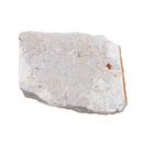 Lycoptera Davidi plate specimen Jurassic to Cretaceous Real Fish Fossil China Decorations