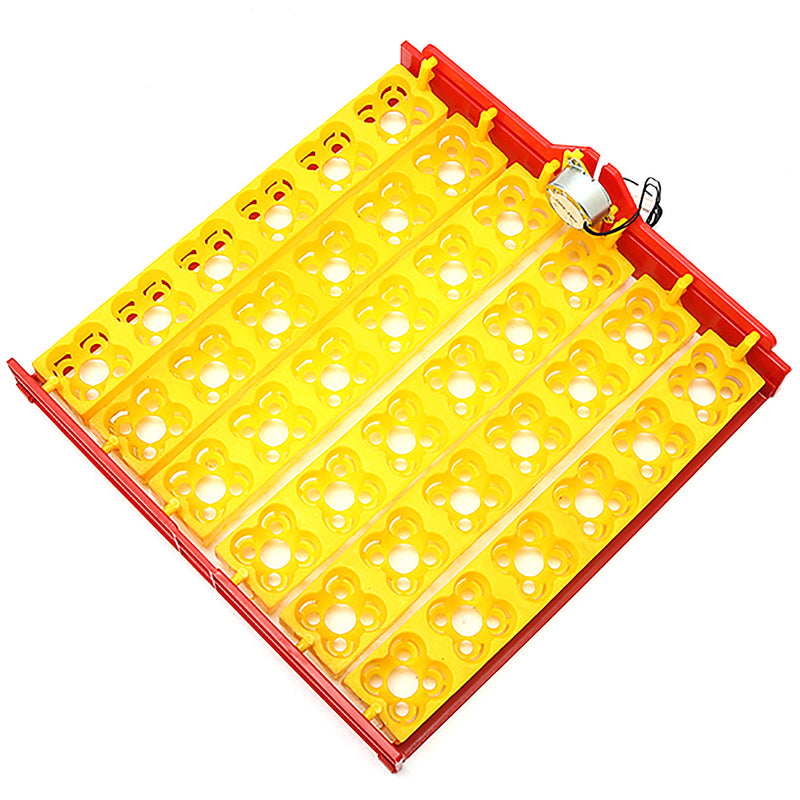 36Pcs Egg Poultry Chicken Egg Incubator Turner Tray Turning Motor Temperature Control 220V