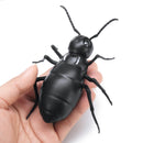 Infrared RC Remote Control Animal Toys Kit Adults Smart Cockroach Ant Jokes Radio Insect for Boys