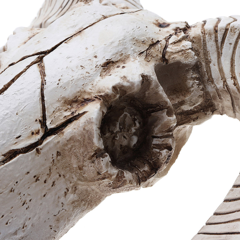 Skull Sheep Head Realistic Animal Resin Wall Art Sculpture Wall Hanging Decorations