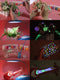 DIY Graffiti Paint Luminous Tape Painted Waterborne Noctilucan Pigment Acrylic Glow in the Dark Par