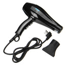 4200 Power Portable Dog Cat Pet Groomming Blow Hair Dryer Professional