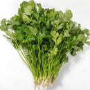 Egrow 50Pcs/Bag Small Parsley Seeds Japanese Small Parsley Seeds 50 Pcs Organic Vegetable Seeds