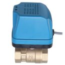DN25 Electric Motorized 2 Way 3-Wire Ball Valve Brass AC220V 1.6Mpa for Water