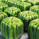 Egrow 30Pcs/Pack Square Watermelons Seeds Home Garden Simple Geometric Sweet Fruit Plants