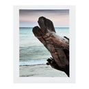 5Pcs Set Boat Modern Canvas Print Paintings Wall Art Pictures Home Decor Unframed