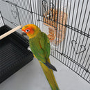 Automatic Smart Bird Feeders Starling Parrot Food Containers Transparent Pet Feeder Devices