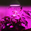 30W E27 LED Grow Light Bulb Plant Lamp for Flower Seeds Growing Hydroponics AC85-265V