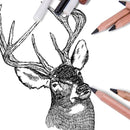 BIANYO 8013C Gift Box With 4 Color Carbon Painting Chalk Sketch Pencil For Student Practice