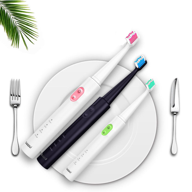 Borui BR-Z1 USB Wireless Ultrasonic Electric Toothbrush Oral Hygiene Rechargeable Sonic Automatic To