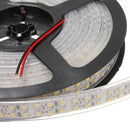 5M 120W DC12V Double Row 3528 SMD 1200 LED White/Warm White Waterproof Flexible Strip light
