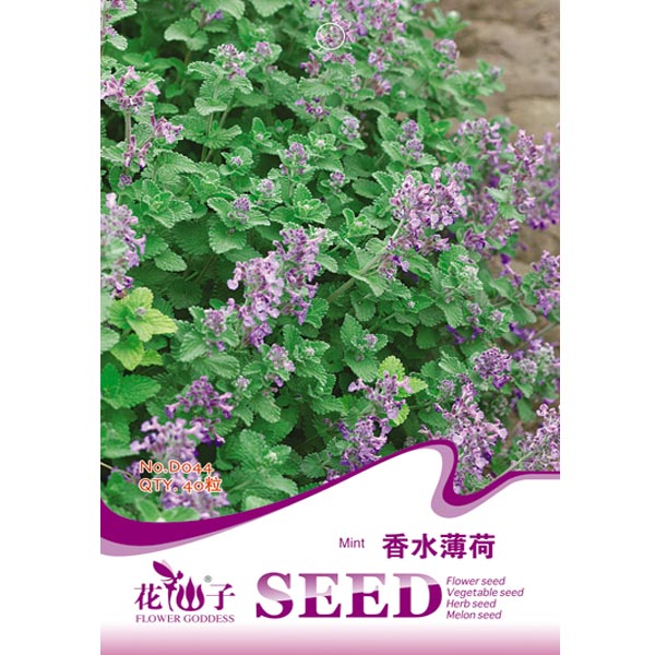 Egrow 30pcs Mentha Spicata Spearmint Seeds Perennial Flower Seeds