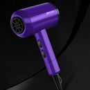 2000W Professional Hair Dryer Hot And Cold Lonic Blow Fast Heating Household Electric Hair Blow Dryer 220V