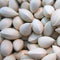 Egrow 5 Pcs/Pack Ginkgo Biloba Seeds Rare Maidenhair Tree Seed Strong Adaptability Garden Fruit Tree