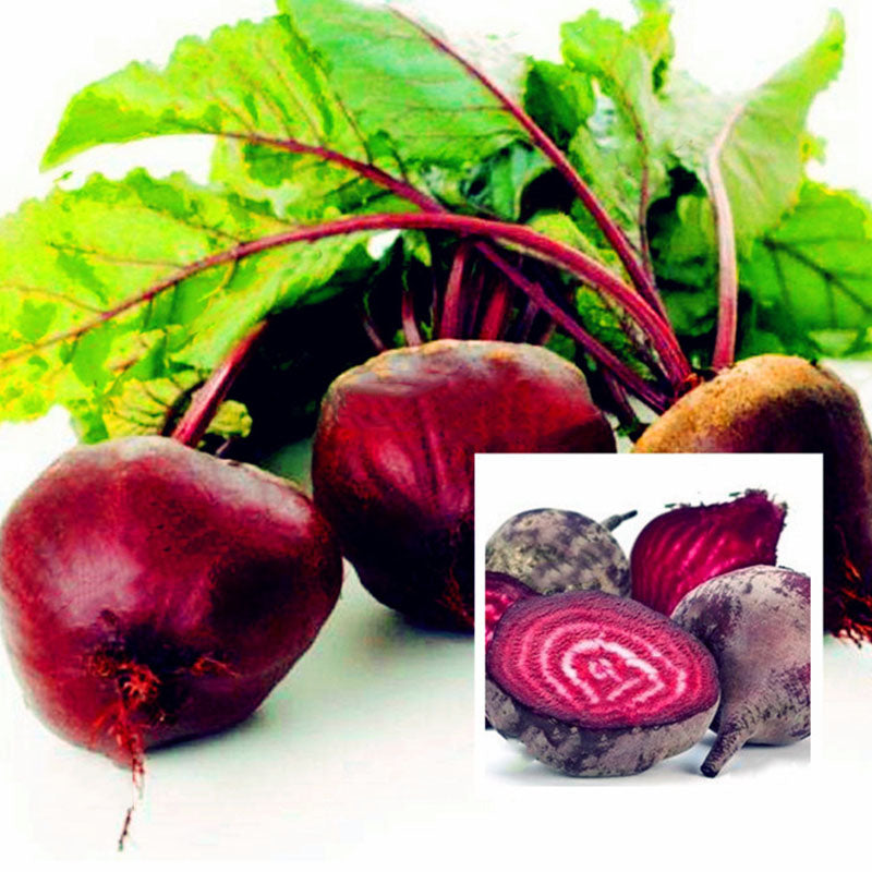 Egrow 100 Pcs/Pack Beetroot Seeds Beetroot Plants Green Vegetable Beta Vulgaris Bonsai Plantas Hardy Vegetable