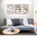 3Pcs/1Set DIY Princess Photo Frame Cat Decoration Paste Ins Wind Wall Sticker