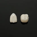 2 packs Dental Temporary Crown Material for Anterior + Molar Teeth Veneers
