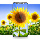 Bakeey 3D Soft Edge Carbon Fiber Tempered Glass Screen Protector Film For iPhone XS/iPhone X/iPhone 11 Pro