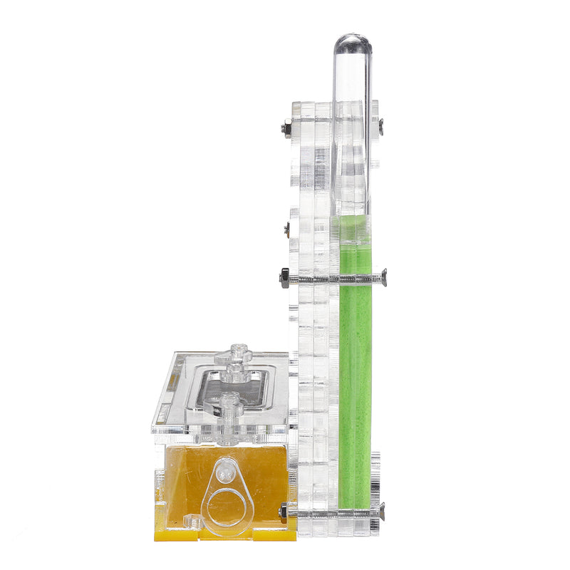 Acrylic Ant Feeding Nest Moisturizing Ant Case WIth Tweezer