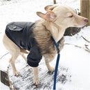 Nsmsan KLN-1725 Pet Fur Collar Leather Coats Waterproof Pet Dog Winter Warm Coats Puppy Cold Weather Clothes