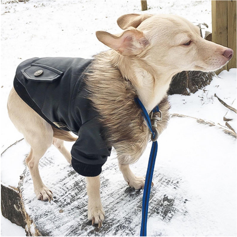 Nsmsan KLN-1725 Pet Fur Collar Leather Coats Waterproof Pet Dog Winter Warm Coats Puppy Cold Weather Clothes