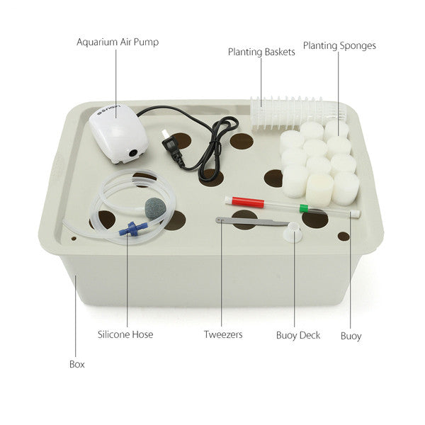 Oxygen Mini 11 Hole Water Culture Seedling Boxes Soilless Cultivation Planting Boxes