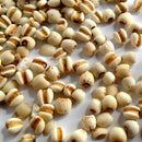Egrow 30Pcs/Bag Coix Seeds Chinese Pearl Barley Coix Chinensis Seeds Adlay Coixseed Job's Tears Seed