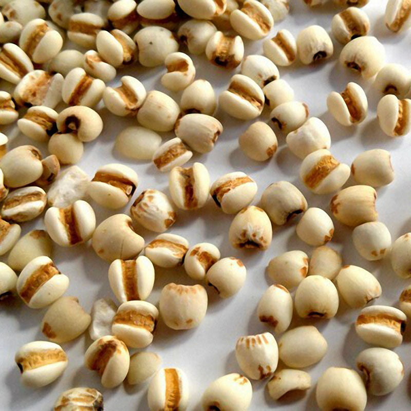 Egrow 30Pcs/Bag Coix Seeds Chinese Pearl Barley Coix Chinensis Seeds Adlay Coixseed Job's Tears Seed
