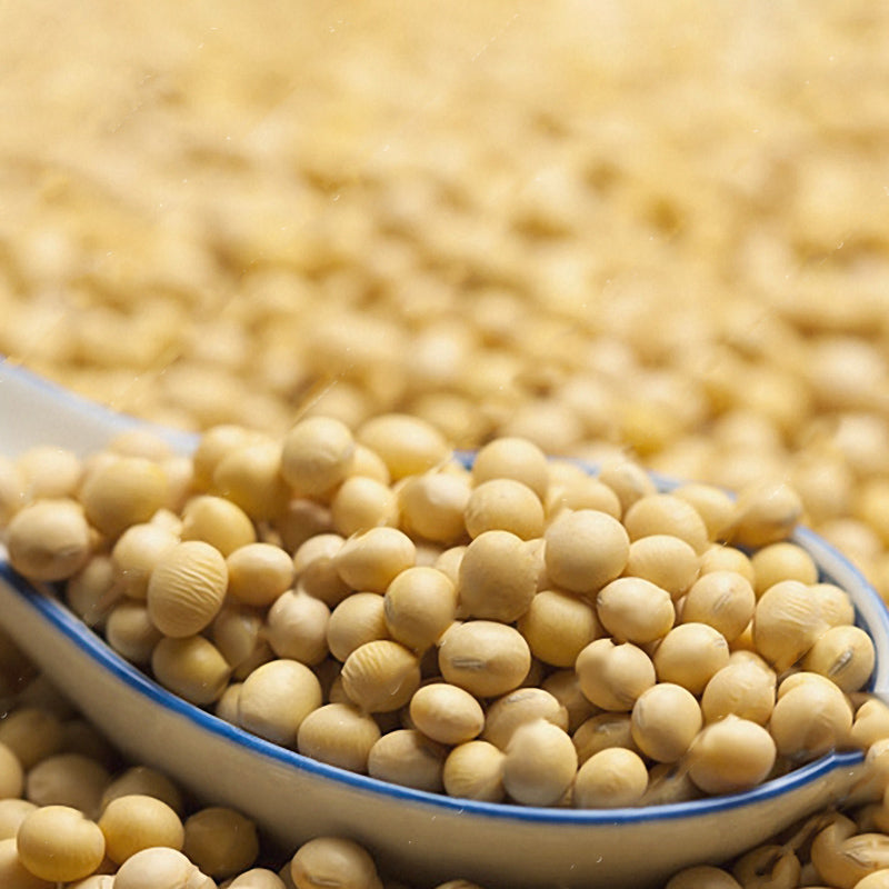 Egrow 20pcs/Bag Soy Bean Seeds Green Vegetable Seeds Soy Bean Edamame Seeds Soybean Bonsai Plants