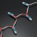 50pcs DC 5V WS2811 RGB Full Color 12mm Pixels Digital Addressable LED String Light IP68