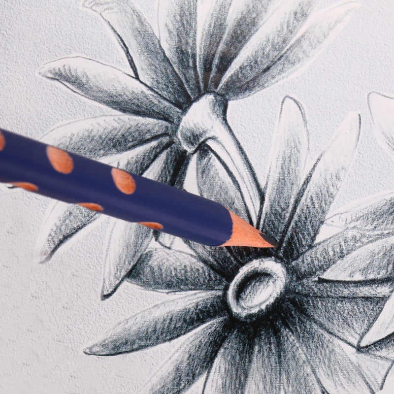 Lyra 1760102 12 Pcs/Set Wooden Sketch Pencils Groove Slim Hole Correction Writing Posture Grip Position Painting Drawing Pencil HB 2B 2H