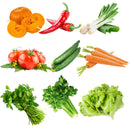 Egrow 10 Kinds Mixed Vegetable Seeds Real Green Non-gmo Organic Vegetable Seeds Edible Planting