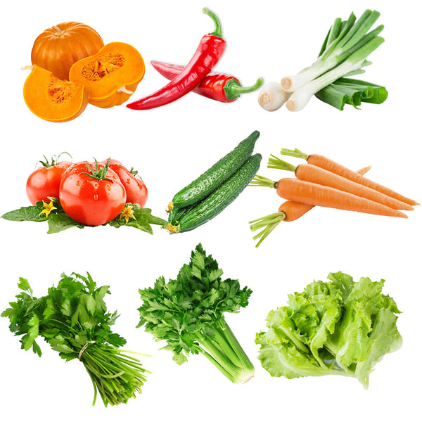 Egrow 10 Kinds Mixed Vegetable Seeds Real Green Non-gmo Organic Vegetable Seeds Edible Planting