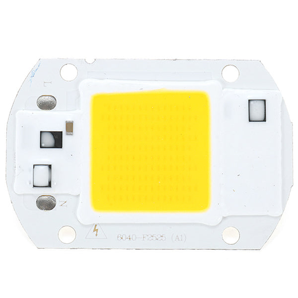 LUSTREON AC110V/220V 20W 30W 50W White/Warm White COB LED Chip 40X60mm for DIY Flood Light