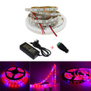 5M 3:1/4:1/5:1 Red:Blue 5050SMD 300LED Waterproof Hydroponic Plant Grow Strip Light DC12V