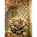 Hanging Planters Flower Pot Iron Iron Wire Succulent Pot Wall Succulent Planters Rustic Plant Holder Decorations