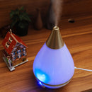Home Essential Oil Ultrasonic Humidifier Diffuser Air Purifier LED Night Decorations
