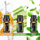 6Pcs Skymore Aromatherapy Essential Oil Set Lavender