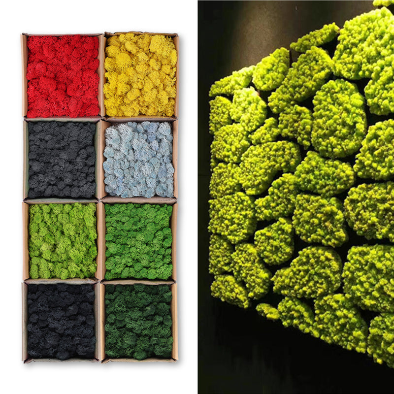 200g Natural Norwegian Reindeer Moss Preserved Dried Craft Flower Decorations