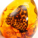 Butterfly Amber Resin Amber Butterfly Insect Stone Pendant Necklace Gift Decorations